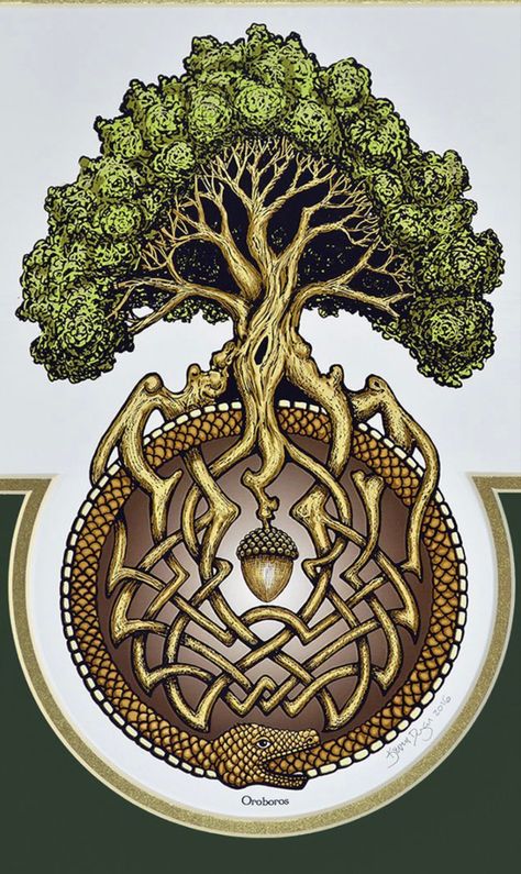 Awen Symbol, Oak Tattoo, The World Serpent, Acorn Tattoo, World Serpent, Yggdrasil Tree, Leg Art, Coffee Tree, Tree Logos