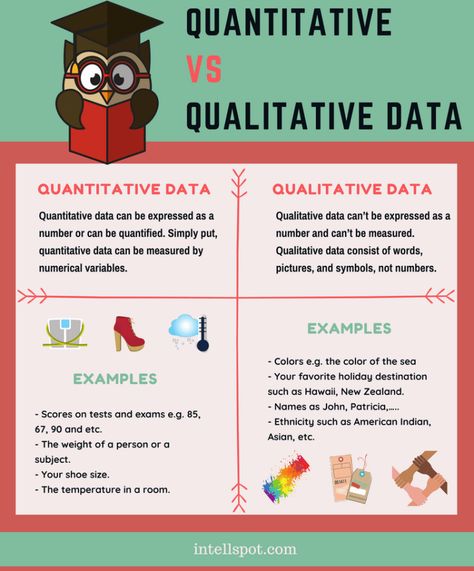 Qualitative and Quantitative Data - infographic and examples Qualitative Research Methods, Statistics Math, Data Science Learning, Best Essay Writing Service, Quantitative Research, Values Education, Research Writing, Research Skills, Dissertation Writing