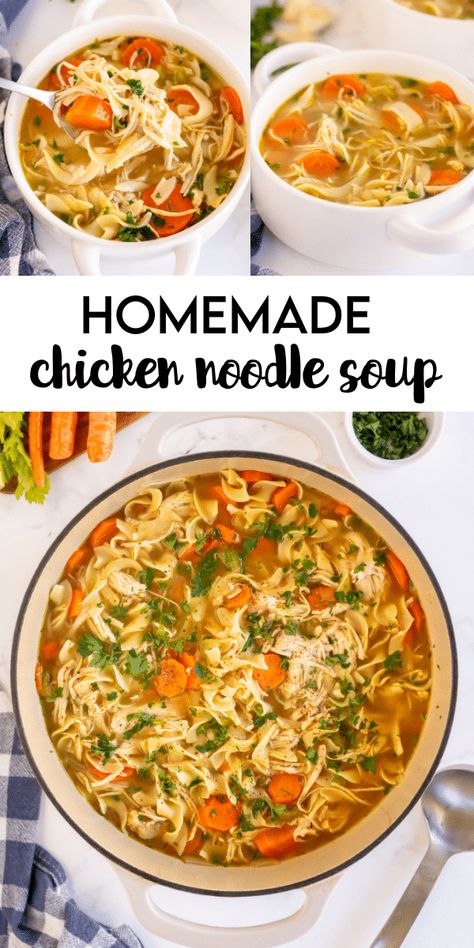 This homemade chicken noodle soup is a classic hearty favorite filled with shredded chicken, veggies, and lots of flavor! Soup With Egg Noodles, Soups Chicken, Soup With Egg, Homemade Chicken Noodle Soup Recipe, Chicken Noodle Soup Recipe Homemade, Chicken Noodle Soup Recipe, Homemade Egg Noodles, Chicken Noodle Soup Easy, Homemade Chicken Noodle