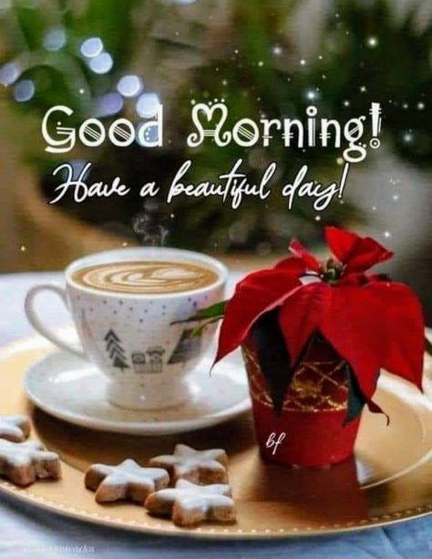 Good Morning Winter Images, Christmas Eve Morning, Christmas Eve Quotes, August Quotes, Good Morning Christmas, Morning Christmas, Good Morning Winter, Morning Winter, Morning Sunday