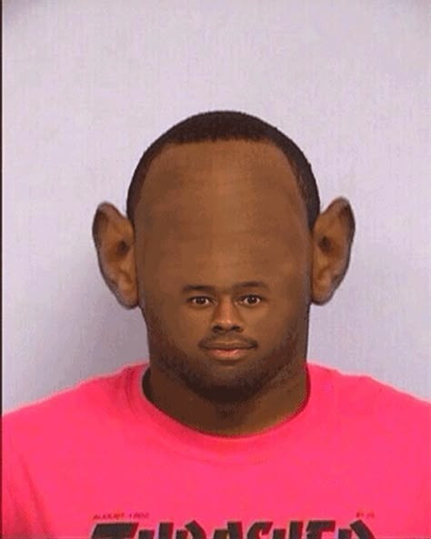 Blinking Large Forehead Tyler | Tyler, the Creator Mugshot | Know Your Meme Tyler The Creator Wallpaper, Snapchat Funny, Funny Profile, Funny Profile Pictures, Funny Reaction Pictures, Tyler The Creator, Meme Faces, What’s Going On, Mug Shots