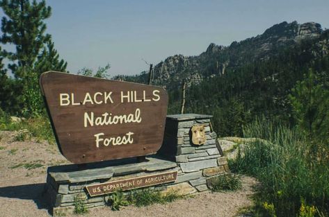 The BEST Black Hills Dispersed Camping - TMBtent Beverly Hills Sign, Boondocking Camping, Monument Signage, Dispersed Camping, Black Hills South Dakota, Forest Ecosystem, Architectural Signage, Monument Signs, Forest Road