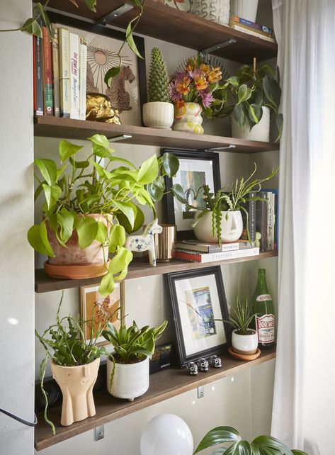 Plant Built In Shelves, Shelf Styling Plants, Plants Shelf Living Room, Wall Shelves Living Room Decor, Wall Shelf Styling Living Room, Plant Room Shelves, Shelf Styling With Plants, Plant Shelf Styling, Shelf Decor Living Room Wall Shelves