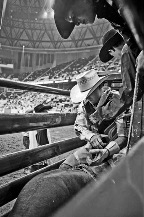 Bull Rider in the Chute Pbr Bulls, Western Things, Lane Frost, Cowboy Photography, Bucking Bulls, Rodeo Time, Cowboy Stuff, Rodeo Cowboys, Country Things