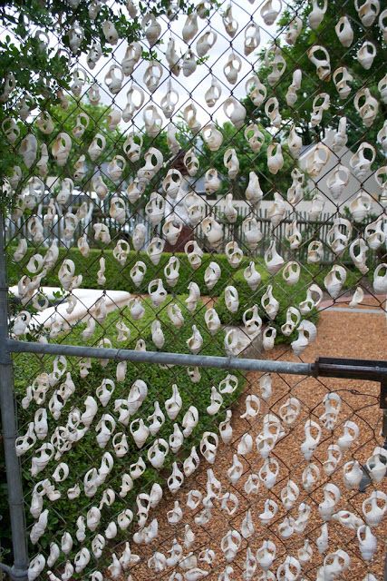 Driftwood Ramblings: Henk Scholtz's Franschhoek Garden Love the shells on the galvanized gate. Fence Weaving, Chainlink Fence, Fence Art, Glass Garden Art, Fence Decor, Chain Link Fence, The Fence, Glass Garden, Garden Fencing