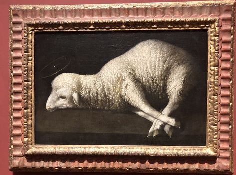 Southern Gothic, A Sheep, Oui Oui, Pics Art, Art Plastique, Art Inspo, Les Oeuvres, San Diego, Sheep