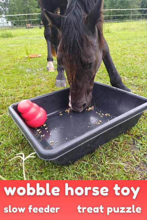 Horse Slow Feeder, Diy Horse Toys, Bits For Horses, Toys For Horses, Livestock Shelter, Horse Training Exercises, Horse Ownership, Horse Farm Ideas, Paddock Paradise