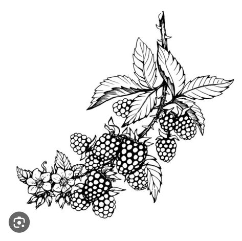 Blackberry Illustration, Cottagecore Tattoo, Blackberry Tattoo, Farm Tattoo, Gap Filler Tattoo, Blackberry Fruit, Thorn Tattoo, Garden Tattoos, Tattoo Filler