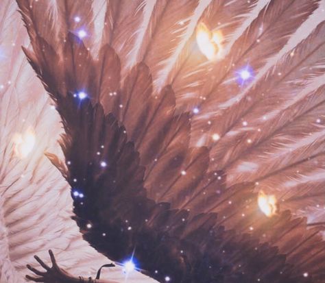 People With Wings Aesthetic, Owl Wings Aesthetic, Angle Wings Aesthetic, Seraph Wings, Wings Aesthetics, Sirius Aesthetic, Angel Wings Aesthetic, Wing Aesthetic, Wings Aesthetic