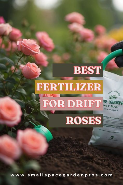 Discover the best fertilizer for Drift Roses and transform your garden into a blooming paradise! Our comprehensive guide covers top nutrient picks to ensure the healthiest and most vibrant blooms. Learn expert tips on selecting and applying the perfect fertilizer to keep your Drift Roses flourishing all season long. From organic options to slow-release formulas, we've got you covered. #Gardening #DriftRoses #BloomBoosters #GreenThumb #FlowerCare #GardenTips #FertilizerGuide Potted Shrubs, Drift Roses, Organic Mulch, Flower Care, Rose Bush, Small Space Gardening, Organic Matter, New Growth, Horticulture