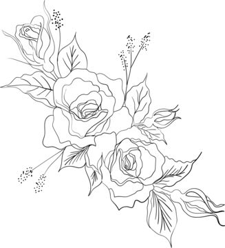 Vector Flourish, Flower Png Transparent Background, Doodle Leaf, Rose Flowers Drawing, Line Art Rose, Native Drawings, Plant Silhouette, Drawing Roses, Roses Decoration