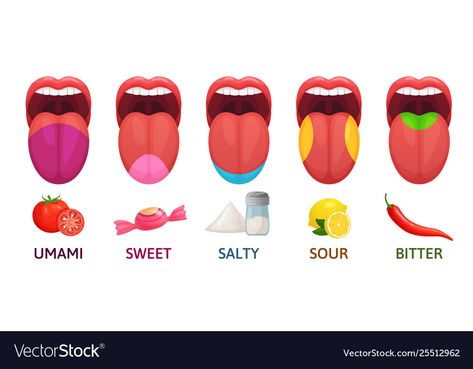 Medicine Cartoon, Tongue Health, Sour Taste, Easy Yoga, Alphabet Illustration, Sweet And Salty, First They Came, Schmidt, Infographic Design