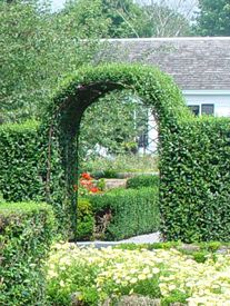 Animals Landscape, Laurel Hedge, Newport Mansions, Boxwood Hedge, Topiary Garden, History Architecture, Green Animals, Garden Makeover, Exterior Ideas