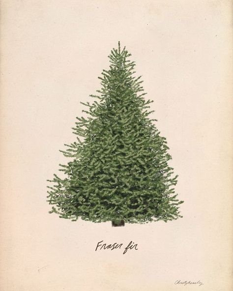 Christmas Tree Prints - 16x20 / WHITE-PINE Christmas illustration #christmasillustration Christmas illustrations #christmasillustrations #christmas #illustration #illustrations Merry christmas #merrychristmas  21.665 Vintage Pine Tree Illustration, Vintage Christmas Tree Pictures, Christmas Tree Print Out, Vintage Christmas Tree Print, Vintage Christmas Art Prints, Vintage Christmas Tree Illustration, Free Christmas Tree Printables, Vintage Illustration 50s, Jesus Born Christmas