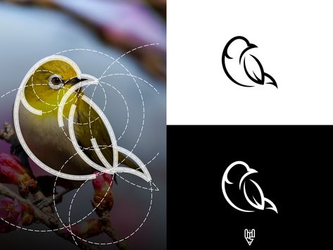 Bird Logo Inspiration, Bird Logo Design, Inspiration Logo Design, Creation Art, Bird Logo, Luxury Logo Design, Bird Logos, Pet Logo Design, Grafic Design