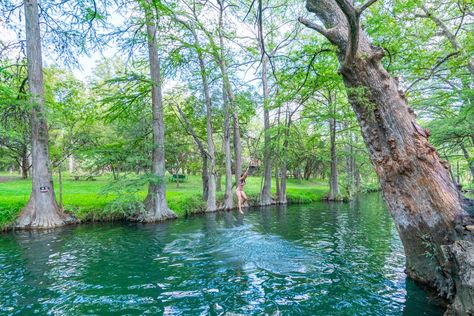 The Great Blue Hole, Blue Hole Texas, Blue Hole Jamaica Pictures, Blue Hole Park Bermuda, Belize Blue Hole, Bald Cypress Tree, Texas Bucket List, Zipline Adventure, Texas Adventure