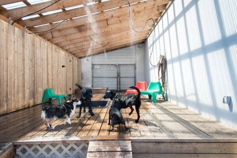 Pet boarding in Vancouver redefined with Jet Pet Resort. We provide a fun, safe, and personalized experience for your pets. Dog Enclosures, Luxury Dog Kennels, Pet Daycare, Infant Care, Outdoor Play Areas, Pet Resort, Pet Paradise, Pet Spa, Pet Hotel