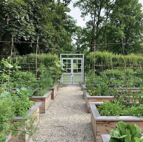 Raised Beds On Gravel, Farmhouse Vegetable Garden, Garden Bark Ideas, Vege Garden Design, Vege Garden Ideas, Garden Berries, Tools Tattoo, Vege Garden, Garden Nails