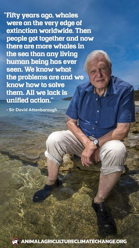 Sir David Attenborough has been named a Champion of the Earth by the UN’s Environment Programme. 😍 Sir David Attenborough has spent his life working for the preservation of the earth and its natural environment. The prestigious award recognises the 95-year-old’s commitment to telling stories about the natural world and climate change. Accepting the award, Sir David said the world must take action now to protect nature and the planet. 👏🌱🌱 Click the link above to read the article 😊🌱🌱 David Attenborough Quotes, Life Quotes Inspirational Motivation, Animal Agriculture, Protect Nature, David Attenborough, Soulmate Love Quotes, Historical Quotes, The Natural World, Telling Stories