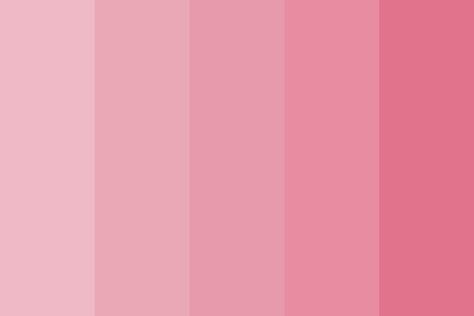 muted pinks Color Palette Create Color Palette, The Color Pink, Pink Color Schemes, Pink Palette, Color Palette Pink, Color Palette Design, Aesthetic Colors, Colour Board, Colour Schemes