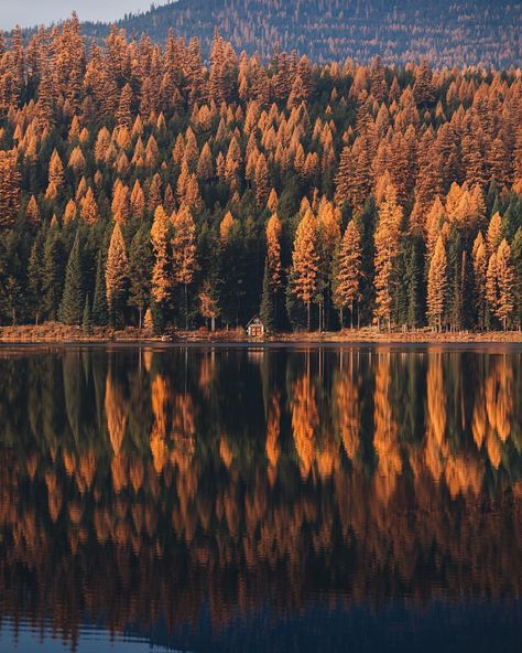 Montana Aesthetic, In The Pale Moonlight, Big Sky Montana, Plants Are Friends, Autumn Cozy, Big Sky, Autumn Aesthetic, Nature Pictures, The Great Outdoors