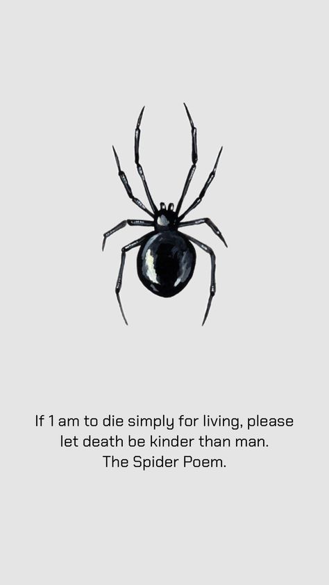 Spider poem #spider Spider Quotes, Spider Poem, Stream Of Consciousness, Animal Quotes, Spiders, Meaningful Quotes, Poetry, Pet, Quotes