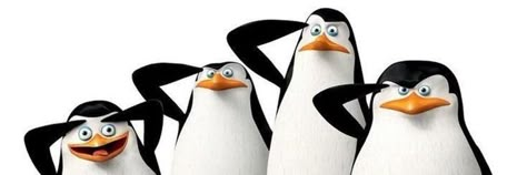 Funny Banners For Discord, Penguins Madagascar, Funny Twitter Headers, Notebook Wallpaper, Funny Banner, Bird App, Cute Twitter Headers, Penguins Of Madagascar, Cute Headers For Twitter