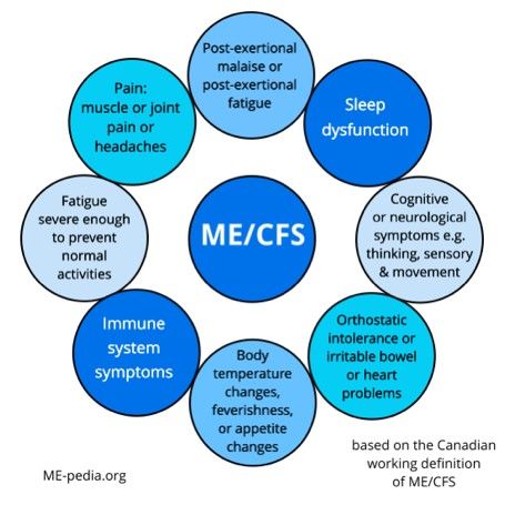 A Conversation about Myalgic Encephalomyelitis with Dr. Nina Muirhead - CIHR Myalgic Encephalitis, Inflammatory Bowel Syndrome, Cfs Symptoms, Causes Of Fatigue, Mast Cell Activation Syndrome, Movement Activities, Irritable Bowel, Heart Problems, Daily Health Tips