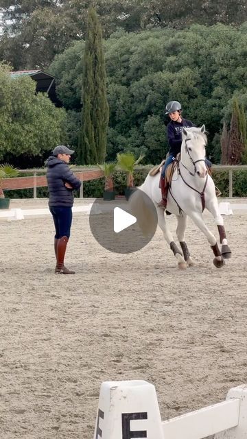 Horse Things, Friends Horse Riding, Friends Riding Horses, Best Friends Horse Riding, Horse Riding Videos, Lusitano Horse, Comedy Clips, Horse Memes, Creative Pumpkin Carving