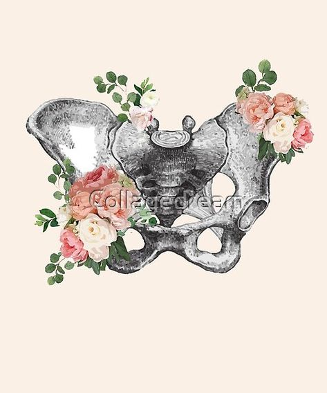 Skull Anatomy, Day Of The Dead Art, Candy Skulls, Sugar Skull Art, Skeleton Art, Medical Art, Skull Decor, Floral Skull, Human Skull