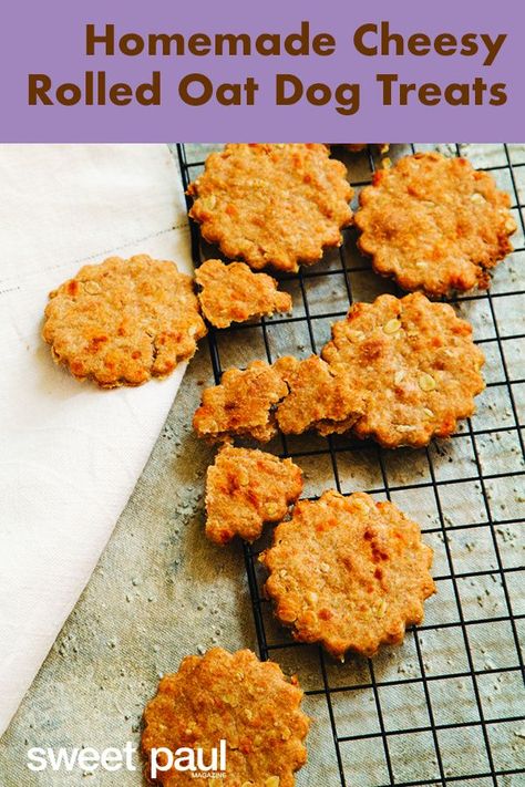 Homemade Soft Dog Treats, Oat Dog Treats, Soft Dog Treats, Pet Treats Recipes, Sweet Paul Magazine, Doggy Treats, Easy Dog Treat Recipes, Dog Biscuit Recipes, Easy Dog Treats