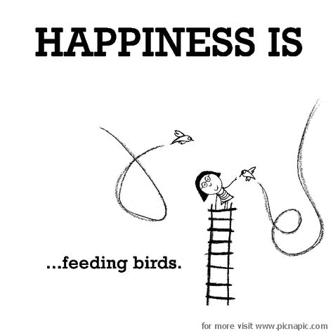 Feeding Birds Quotes, Birds Chirping Quotes, Community Board Ideas, Birds Quotes, Cute Happy Quotes, Sparrow Art, Feeding Birds, Bird Quotes, Happiness Is A Choice