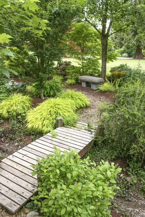 Garden Bridge Ideas Landscaping, Garden Bridge Plans, Yard Bridges Backyards, Bridge In Garden Ideas, Bridge Garden, Japanese Rain Garden, Backyard Bridge Ideas, Bridge In Garden, Garden Bridges