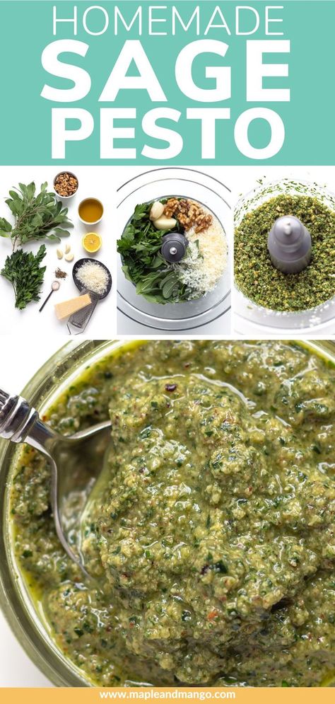 This homemade sage pesto recipe is the perfect pesto for the fall and winter months. If your herb garden is exploding with sage or you have leftover sage from holiday recipes...make this easy and delicious sage pesto! | www.mapleandmango.com Winter Herb Garden, Sage Pesto, Carrot Top Pesto, Carrot Top, Pesto Recipe, Easy Recipe, Pesto, Save Money, Trash Can