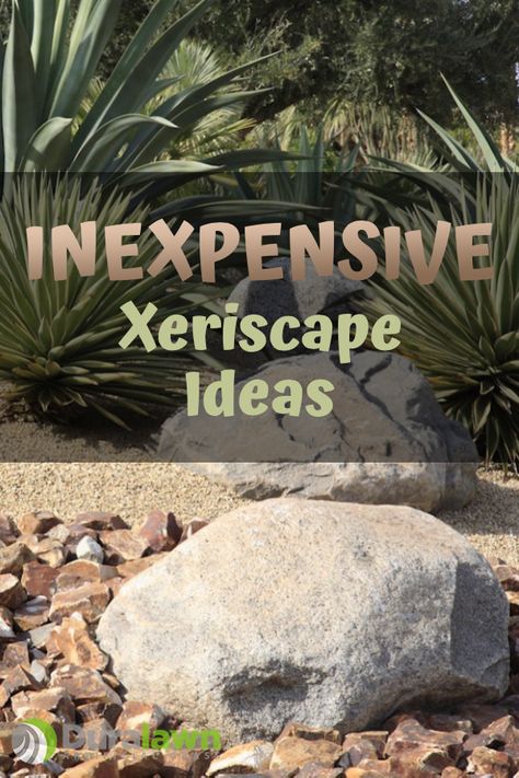 Xeroscaping Backyard, Xeriscape Ideas, Drought Tolerant Landscape Front Yard, Xeriscape Front Yard, Xeriscape Plants, Drought Resistant Landscaping, Xeriscape Landscaping, Small Garden Wedding, Zen Rock Garden