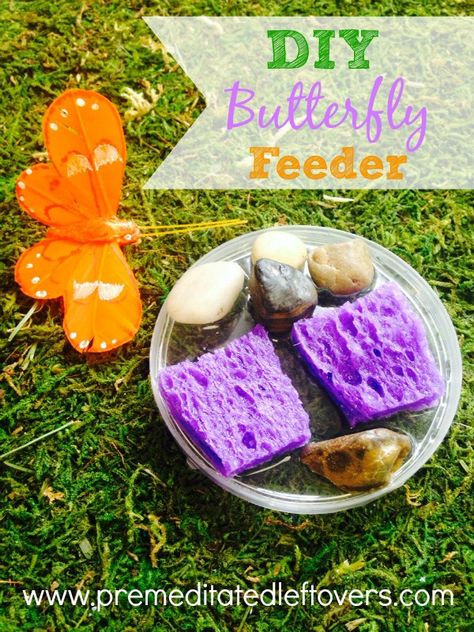 Butterfly Nectar, Butterfly Feeders, Butterfly Feeder, Butterfly Garden Plants, How To Make Butterfly, Butterfly Habitat, Hummingbird Garden, Diy Butterfly, Diy Birds