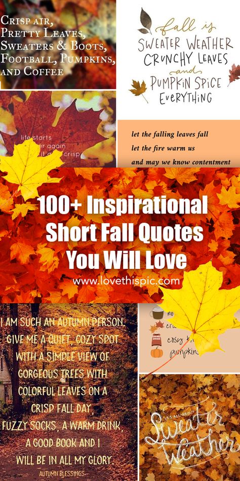 Short Fall Quotes, Family Picture Quotes, Happy Fall Quotes, Painted Quotes, Funny Fall Quotes, Fall Captions, Fall Sayings, Dan Millman, Holiday Pics