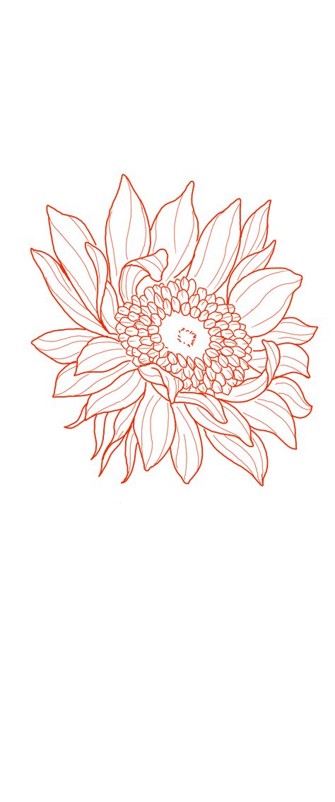 Wild Sunflower Drawing, Sunflower Vine Drawing, Sunflower Honeycomb Tattoo, Tattoo Stencil Outline Flowers, She Is Art Tattoo Stencil, Sun Flower Line Drawing, Sun Flower Tattoo Stencils, Rose And Sunflower Drawing, Sunflower Drawing Outline