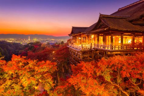 Kyoto Autumn Leaves Viewing Spots and Day Trip Ideas | Japan Cheapo Historical Japan, Japanese Holidays, Kiyomizu Dera, Wakayama, Dawn And Dusk, Beautiful Streets, Japan Photo, Kyoto Japan, Japanese House