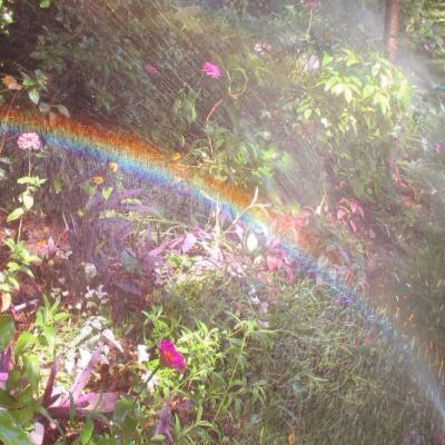 Faerie Aesthetic, Rainbow Springs, Ethereal Aesthetic, Fairy Aesthetic, Rainbow Aesthetic, Cottage Core Aesthetic, Cottagecore Aesthetic, Spring Aesthetic, + Core + Aesthetic