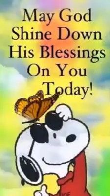 May God shine down his blessings on you today [Video] | Good morning sweetheart quotes, Morning quotes funny, Good morning video songs Christian Good Morning Quotes, Charlie Brown Quotes, Good Morning Snoopy, Sweetheart Quotes, Quotes Arabic, Good Morning Sweetheart Quotes, Good Morning Sunshine Quotes, Happy Sunday Quotes, Funny Good Morning Quotes