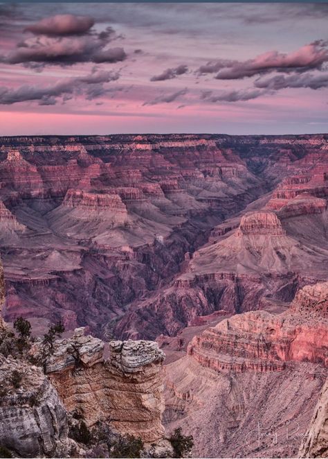 Best Nature, Desert Dream, Grand Canyon National Park, The Grand Canyon, Amazing Nature, Nature Photos, Natural Wonders, Mother Earth, Nature Beauty