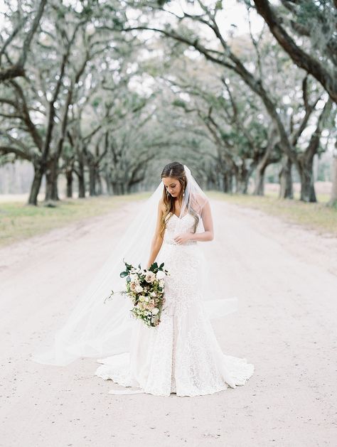 Wormsloe Wedding, Savannah Ga Wedding, Savannah Georgia Wedding, Memorable Wedding Ideas, Erin Wilson, Savannah Georgia, Georgia Wedding, Wedding Photography Inspiration, Bridal Portraits