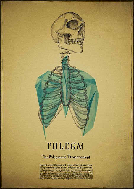 Phlegmatic Temperament - Irina Sidorova Types Of Psychology, Human Personality, Ghost In The Machine, Skull And Bones, Typography Logo, Anatomy, Street Art, Sketch Book, Spirituality