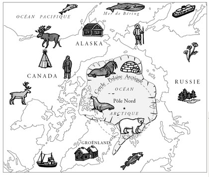 Carte de la région du pôle Nord - illustration 1 Polar Activities, Learning Websites For Kids, Teaching Themes, Pole Nord, Polar Animals, Childrens Museum, Learning Websites, Winter Animals, Arctic Animals