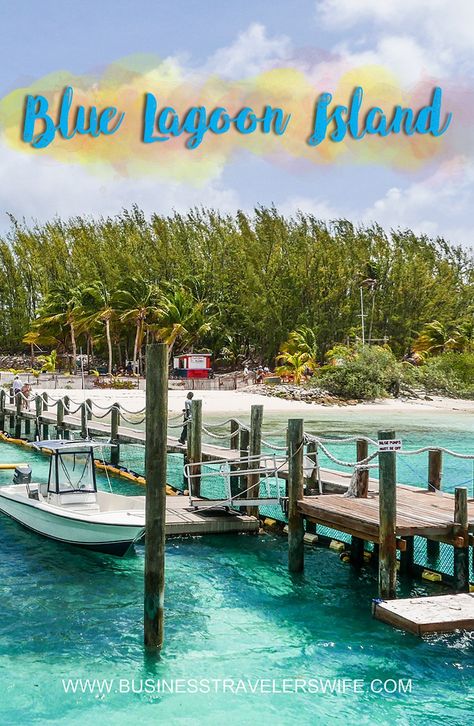 Meet the cutest dolphins and spend the rest of the day lounging in the breathtaking beaches and lagoon of Blue Lagoon Island, Bahamas! Blue Lagoon Island Bahamas, Grand Hyatt Baha Mar, Bahamian Food, Bahamas Honeymoon, Baha Mar, Bahamas Vacation, Beach Holidays, Caribbean Vacations, Caribbean Beaches