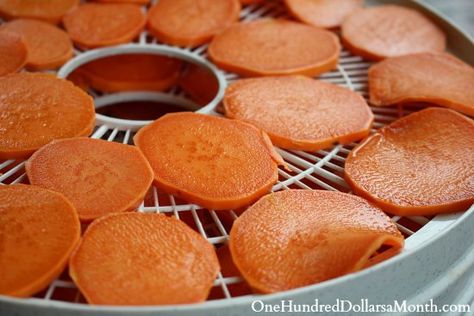 How to Dehydrate Sweet Potatoes - One Hundred Dollars a Month Dehydrate Sweet Potatoes, Dehydrating Food Storage, Food Dehydration, Dehydrated Vegetables, Canning Food Preservation, Dehydrated Fruit, Food Dog, Sweet Potato Chips, Dehydrated Food