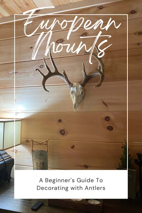 We want to share a few ideas for beautifying your home by decorating with Reproduction European Mounts from Cast Horn Designs! These mounts are simple pieces, yet they can change the entire aura of a space. Learn more on our blog! Euro Mount Ideas, Horn Designs, Euro Mount, European Mounts, Decorating With Antlers, Alaskan Moose, Euro Mounts, Mounted Antlers, Antler Lamp