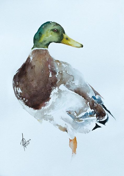 Andrzej Rabiega - Paintings for Sale | Artfinder Salt Watercolor, Bird Painting Acrylic, Duck Pictures, Bird Watercolor Paintings, Art Tutorials Watercolor, Watercolour Landscape, Duck Art, Diy Watercolor Painting, Watercolor Projects