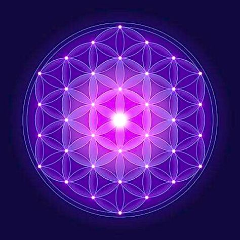 Feng Shui Master, Sacred Geometry Symbols, Spiritual Images, Wheel Of Life, Flower Of Life, Spiritual Art, Sacred Geometry, Android Wallpaper, Feng Shui